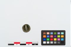 Foto von Bronzeknopf (NHMW-PRAE-024013)